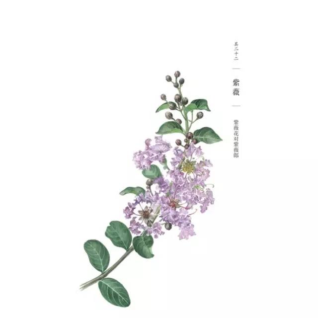 自然好书100本排行榜,自然好书