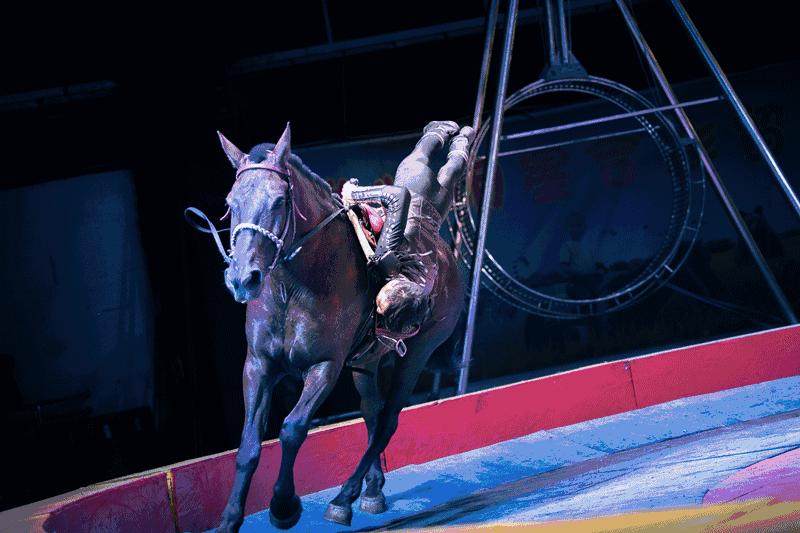 无锡升级发布高温红色预警信号,8月份无锡还有高温吗