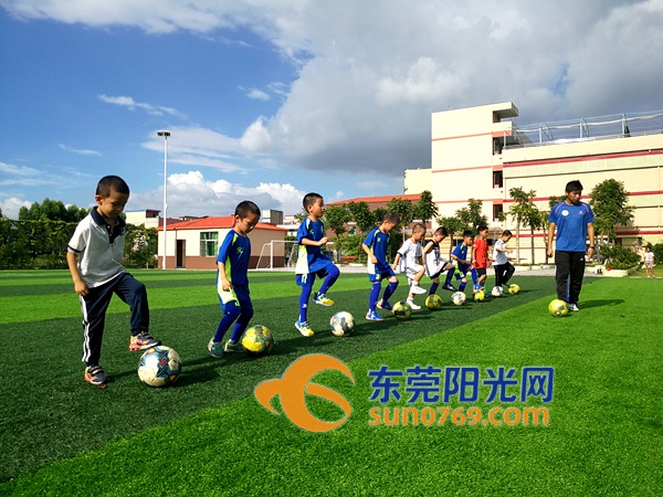 谢岗儿童兴趣培训,谢岗青少年篮球培训