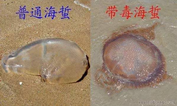 《我的前半生》不留遗憾！金普周边海滨浴场最全攻略，实现完美人生，走起~