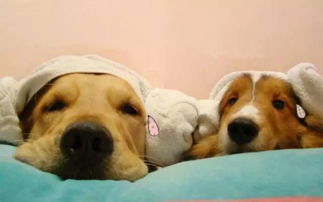 最全战痘攻略,战痘100种祛痘方法