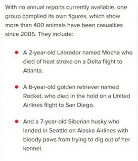 “愿天堂没有美联航”：有望破纪录的巨兔乘机时神秘死亡