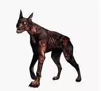 汪星人骑车,汪星人课堂防止狗狗走丢的小技巧