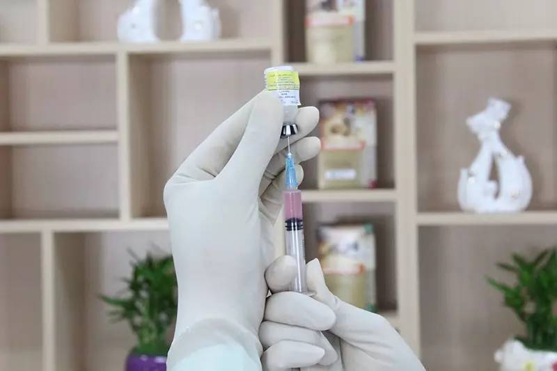 唐山狗狗免疫证明,怎么才能拿到狗狗免疫证明