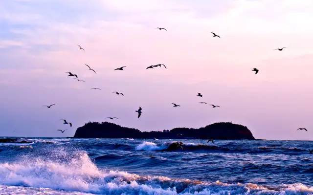 《我的前半生》不留遗憾！金普周边海滨浴场最全攻略，实现完美人生，走起~