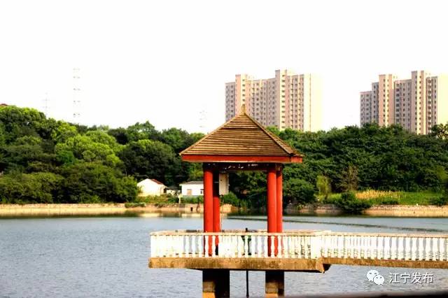 山水有清音银壶,山水有清音