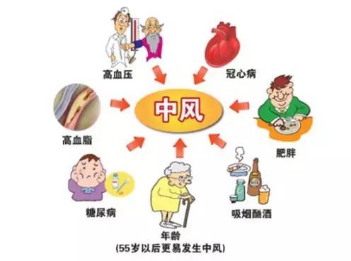 神经系统疾病看什么科,神经内科疾病的健康评估