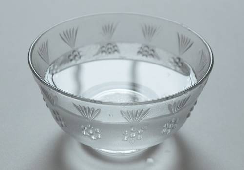 家里垃圾桶好多小飞虫怎么处理,家里垃圾桶里小飞虫怎么消灭