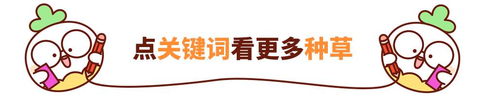 平价精华和面膜哪个好用,平价好用的清洁面膜求推荐