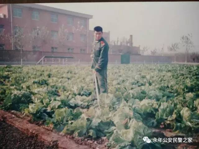 八一特辑,八一特辑回首军魂