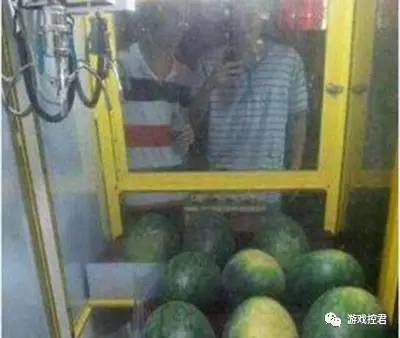 你家猫被人抓去画本子了！