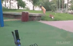 你家猫被人抓去画本子了！