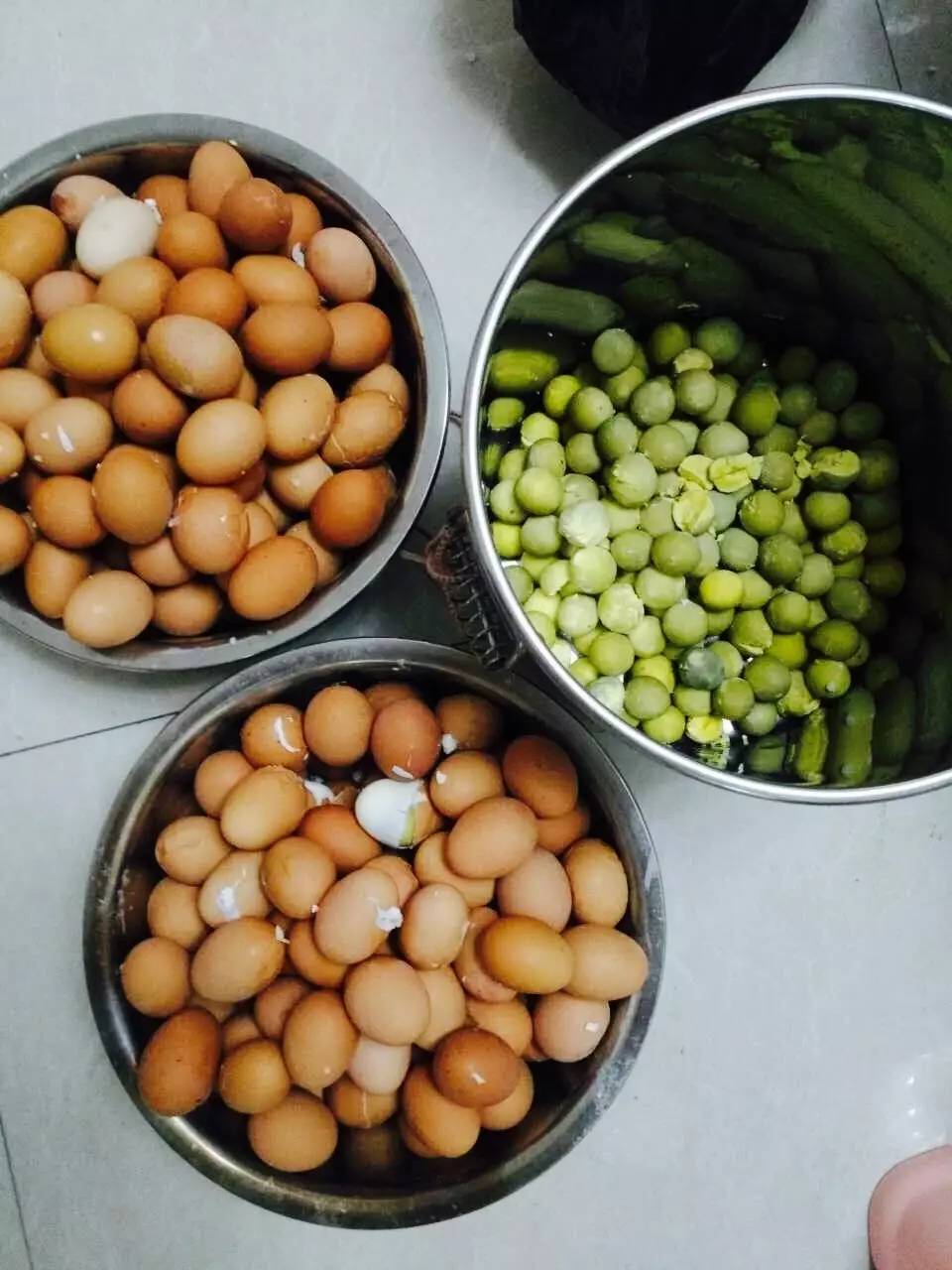 神奇的蛋壳看图写话200字,神奇的蛋壳写话评语