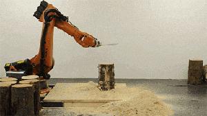 你家猫被人抓去画本子了！