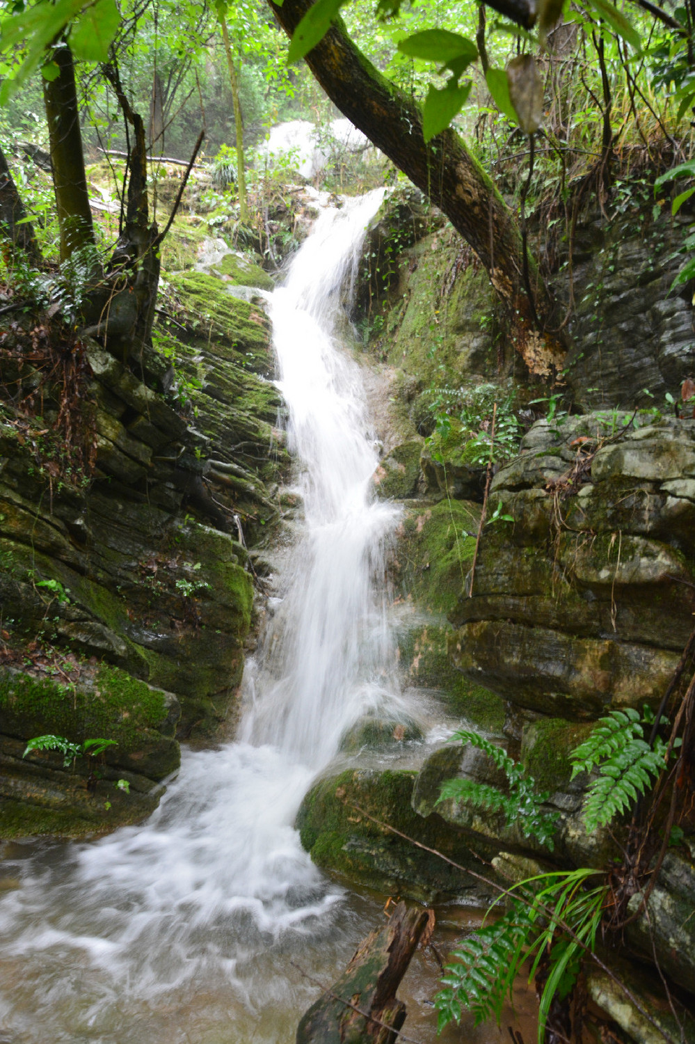 新款户外溯溪涉水鞋,新款溯溪鞋