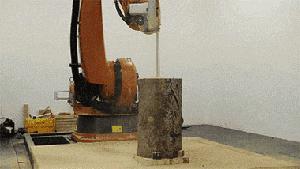 你家猫被人抓去画本子了！