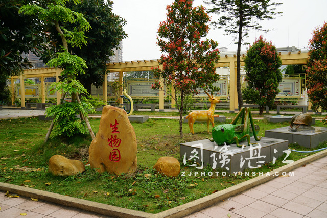 湛江市第十中学官网,2020湛江市第十中学官网