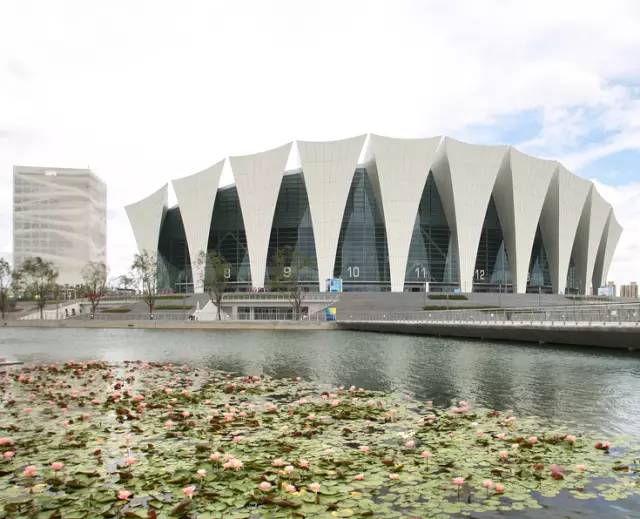 再过3天，上海这540家游泳馆、球馆、健身馆统统不要钱！