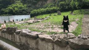 雅戈尔动物园门票免费几天,国庆节雅戈尔动物园免门票吗