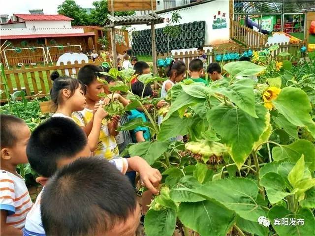 宾州镇顾明幼儿园,顾明幼儿园