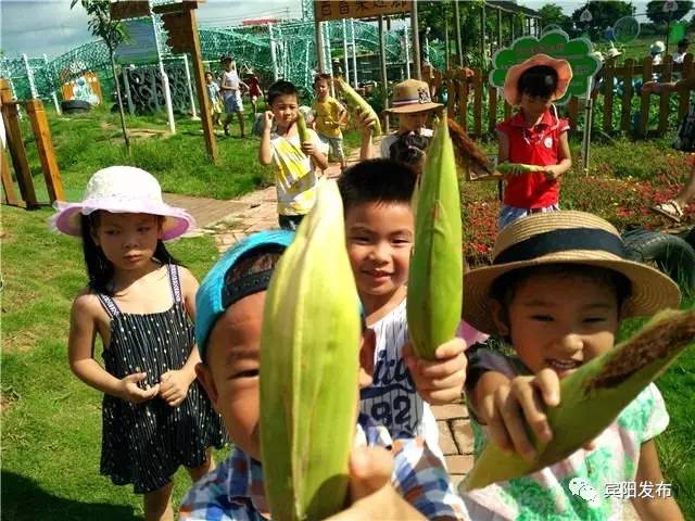 宾州镇顾明幼儿园,顾明幼儿园