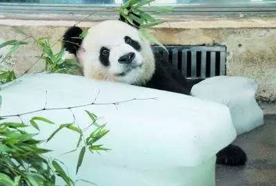 错过再等一年的视频,错过再等一年可能也等不到的优惠