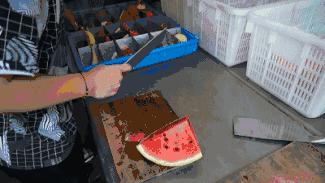 雅戈尔动物园门票免费几天,国庆节雅戈尔动物园免门票吗