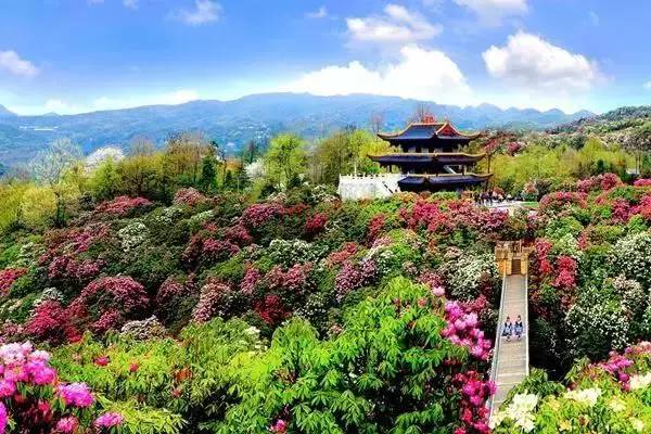 贵州不用带帐篷露营地推荐,贵州自搭帐篷露营地推荐