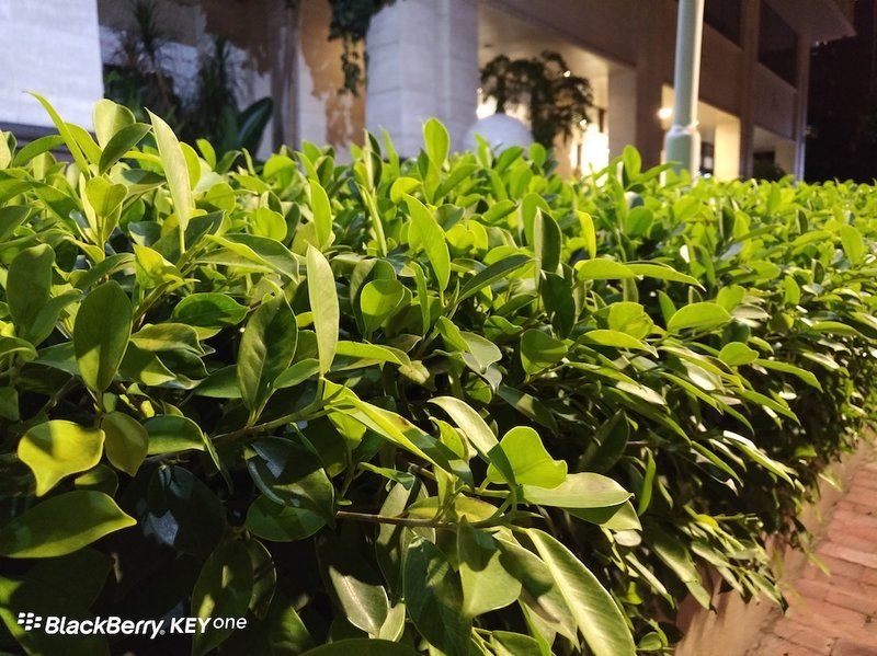 老骥伏枥志在千里原版,老骥伏枥志在千里好在哪