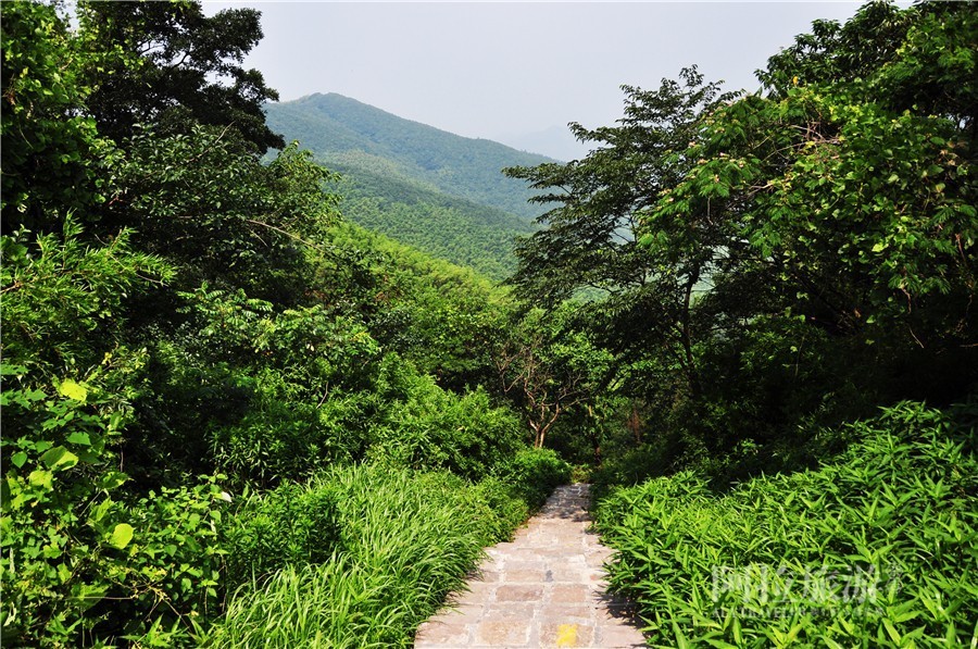 宁波公交一日游线路一览表,宁波坐公交车一日游