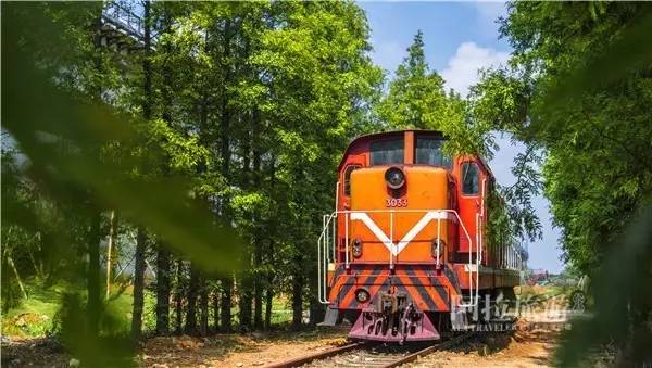 宁波公交一日游线路一览表,宁波坐公交车一日游