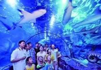 宁波公交一日游线路一览表,宁波坐公交车一日游