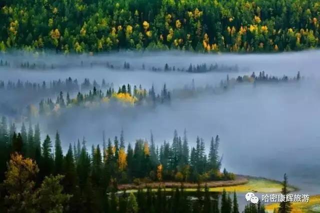 美绝了！全哈密的人都往这里跑~