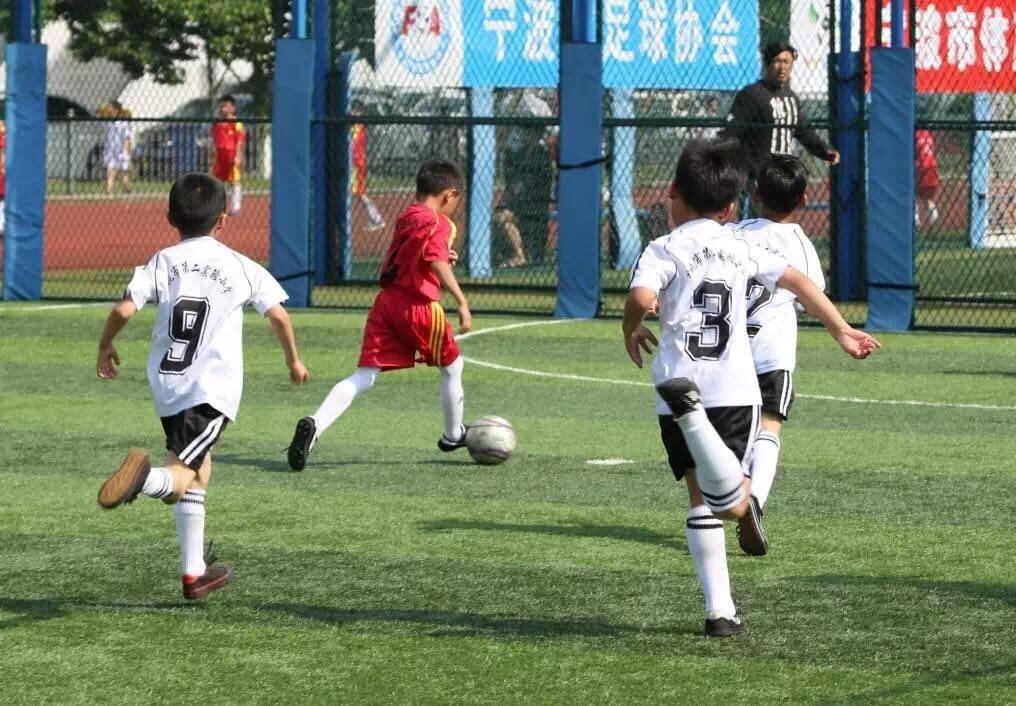 宁波公交一日游线路一览表,宁波坐公交车一日游