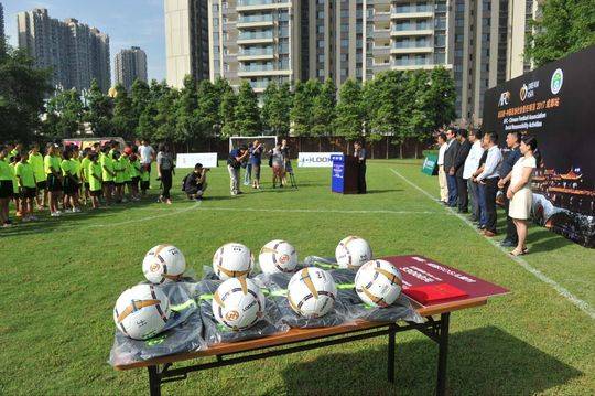 中国sos儿童村协会,sos国际儿童村成都