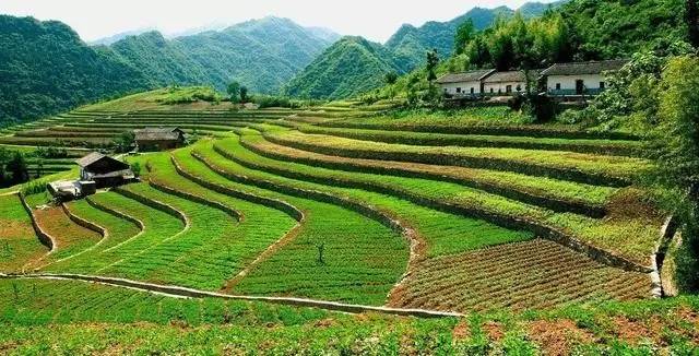 宅基地申请一直不给审批怎么办,农村宅基地一直不给审批怎么办