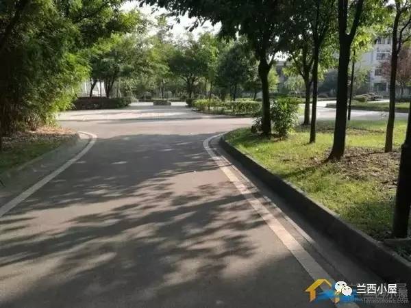 石室中学北湖校区暑假推荐读书清单