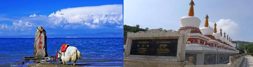 美绝了！全哈密的人都往这里跑~