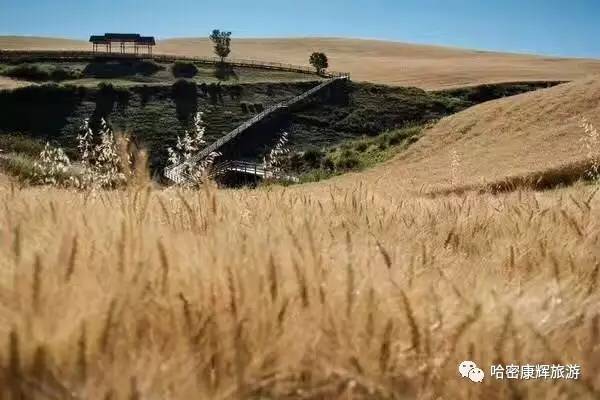 美绝了！全哈密的人都往这里跑~