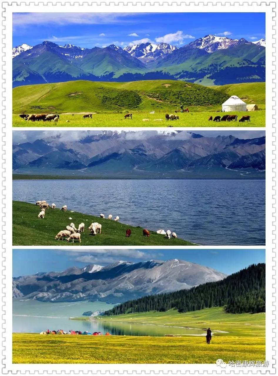 美绝了！全哈密的人都往这里跑~