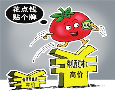 普通蔬菜贴牌身价涨10倍 健康蔬菜认证链条追踪
