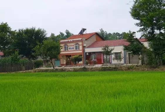 宅基地申请一直不给审批怎么办,农村宅基地一直不给审批怎么办