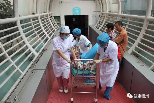 祝四胞胎心想事成,祝福双胎宝宝健康成长