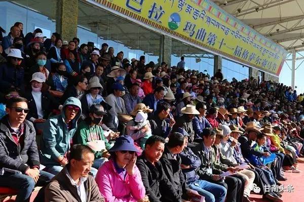 纵马扬鞭御风飞行丨九色甘南香巴拉·玛曲第十一届格萨尔赛马节隆重开幕