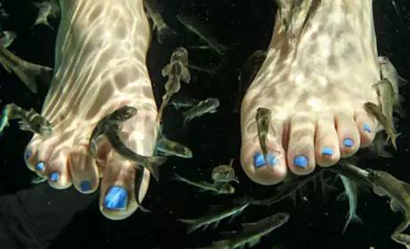 动物们开始工作,动物们开始冒险