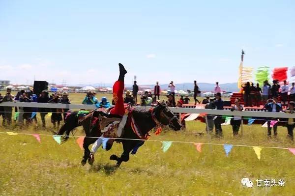 纵马扬鞭御风飞行丨九色甘南香巴拉·玛曲第十一届格萨尔赛马节隆重开幕