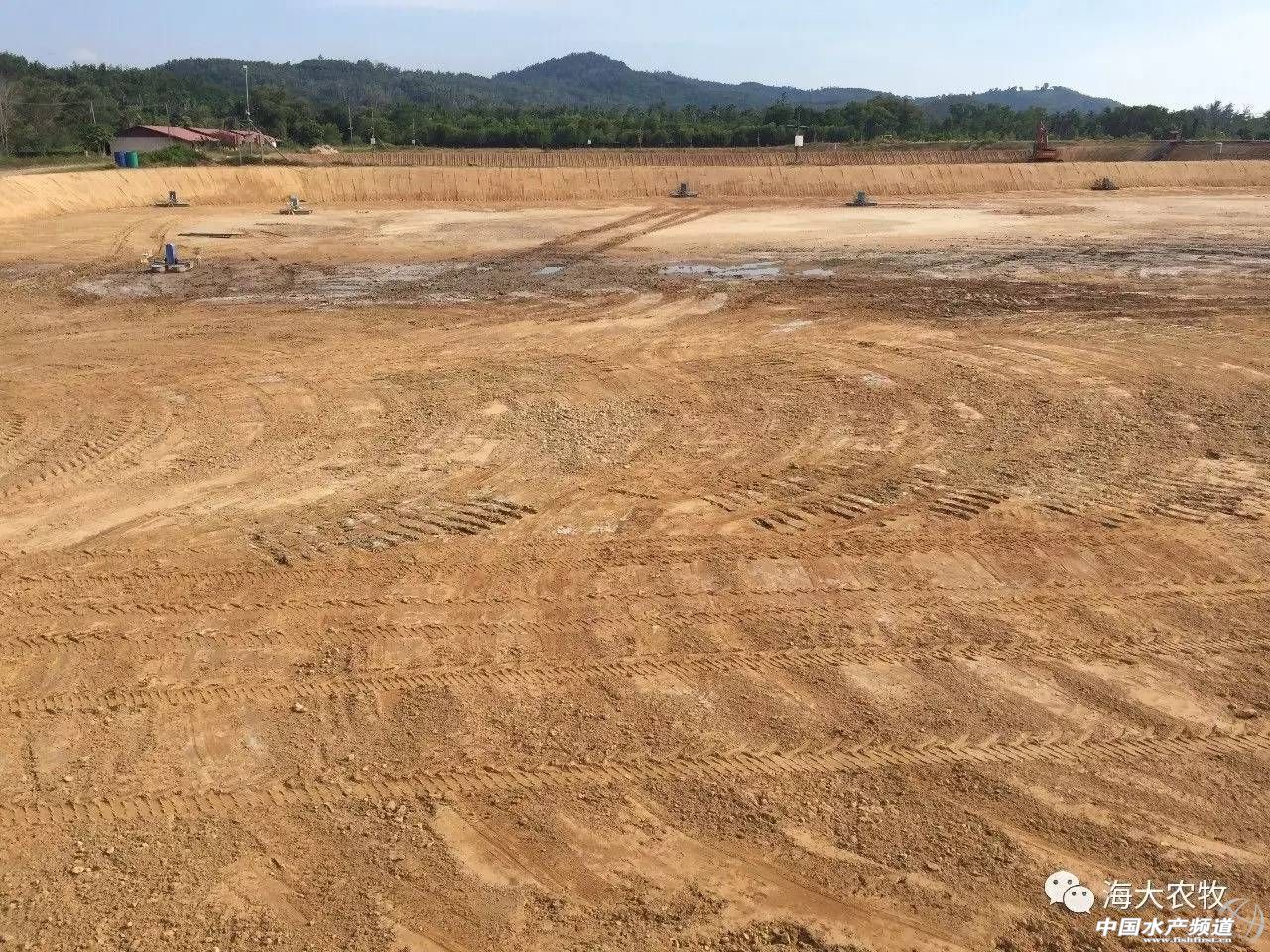 养虾调水秘诀,养虾成功