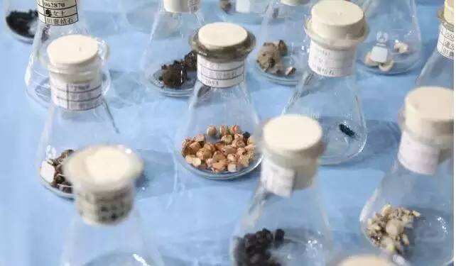 这个博物馆有点“疯狂”！2300份人体结石今天展出！就在东莞这个地方……