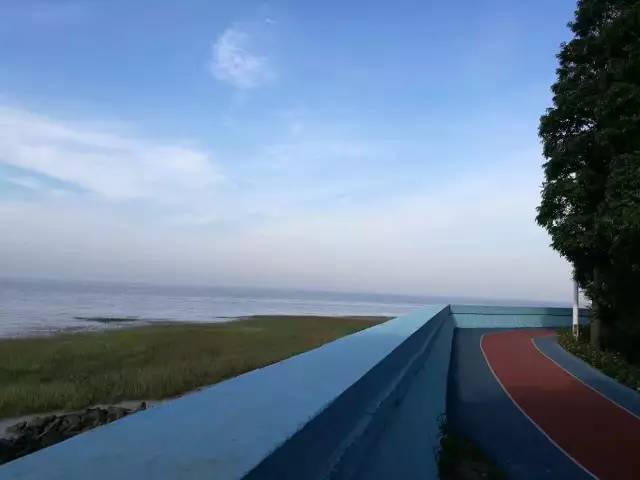 崇明体育运动基地,崇明区体育训练基地