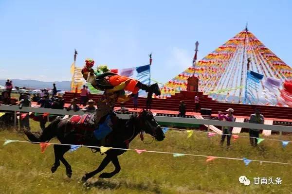 纵马扬鞭御风飞行丨九色甘南香巴拉·玛曲第十一届格萨尔赛马节隆重开幕